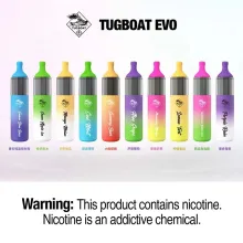 Disposable Electronic Cigarette Atomizer 4500 Puffs