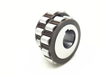 Cylindrical roller eccentric bearing series