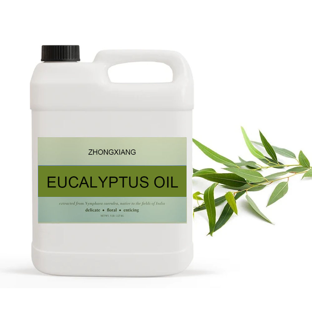 Essential oil Wholesale bulk price 100% Pure EUCALYPTUS essential oil new Relax Aromatherapy Eucalyptus globulus