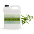Essential oil Wholesale bulk price 100% Pure EUCALYPTUS essential oil new Relax Aromatherapy Eucalyptus globulus