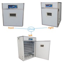 Egg Hatcher Machine: Incubator and Poult Making Machine