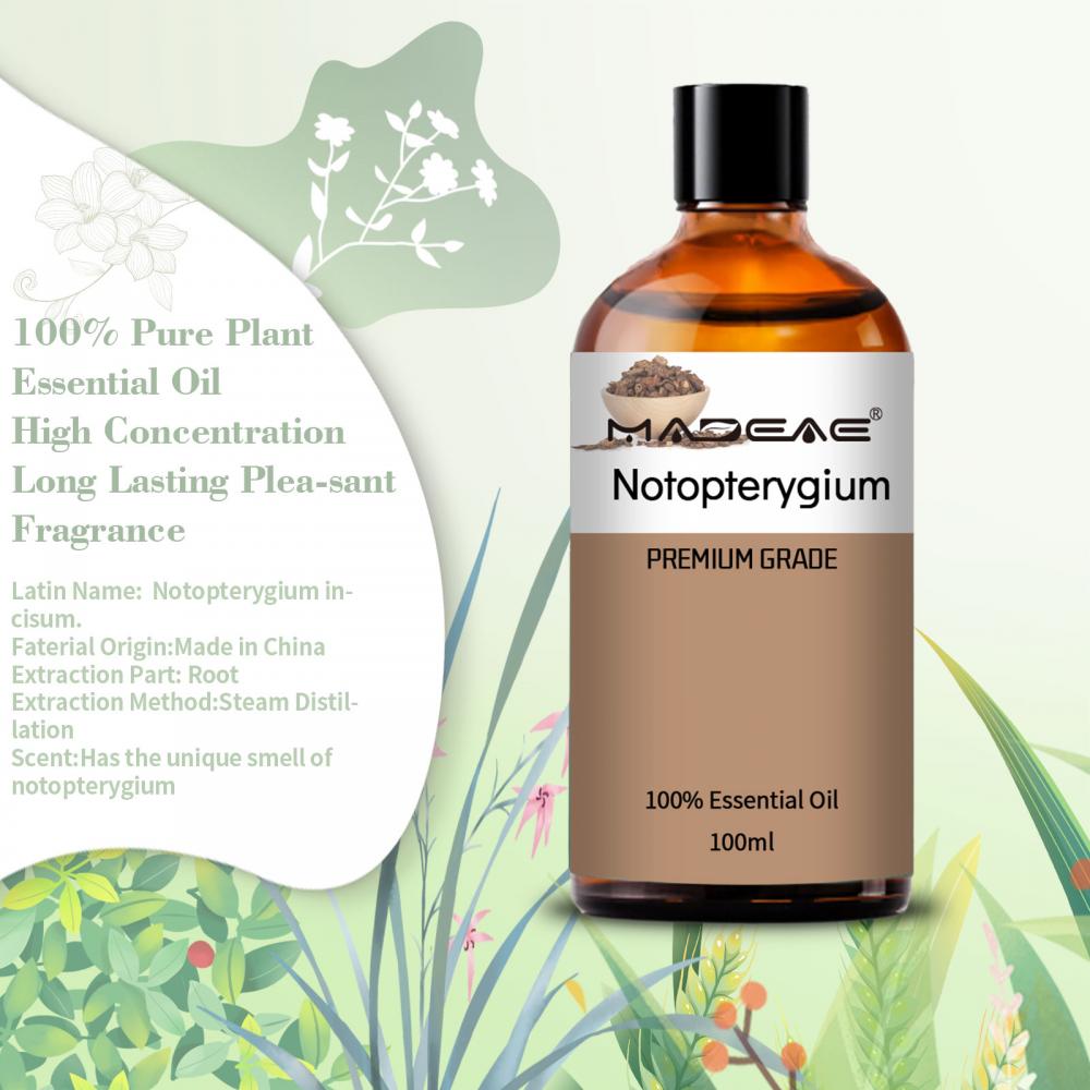 Fornire olio notopterygium naturale puro di alta qualità utilizzato per prodotti sanitari con prezzo all&#39;ingrosso