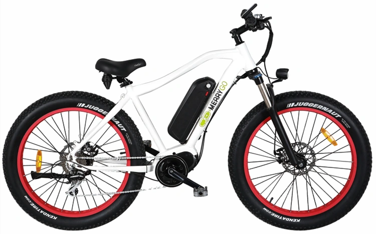 Fashionable Chinese 26 Inch Alloy Frame Electric Sport Bike MTB