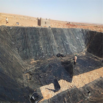 2mm HDPE Geomembrane Liner for Copper Mine