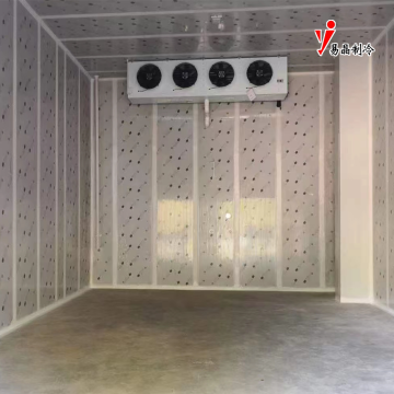 Advanced Controlled Atmosphere Storage