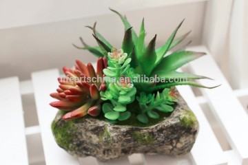 stone pot succulent plants, decorative plants, desktop plants