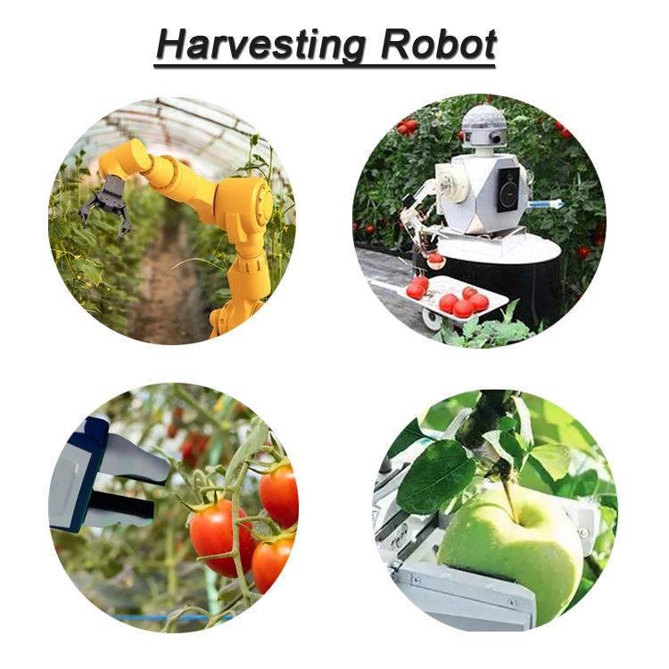 Harvesting Robot