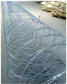 Hot Dipped Razor Barbed Wire Price Dijual