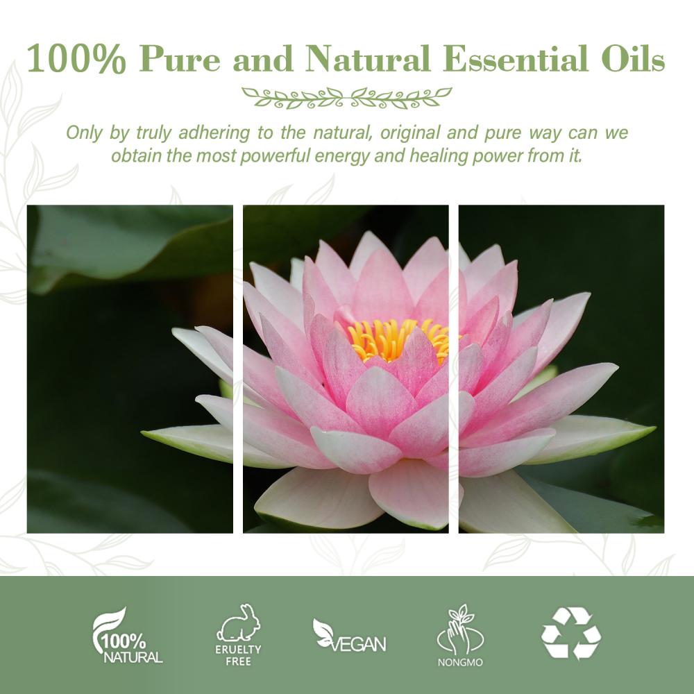 Natural Pink Pink Pink Lotus Oil Terapéutico Grado de loto rosa Flor Esencial Aceite