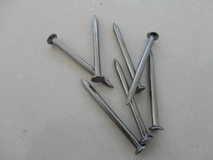 Common Iron Nail