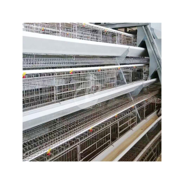 High Utilization Rate Layer Pullet Cage for China Free Range Pullet Chicken Coop
