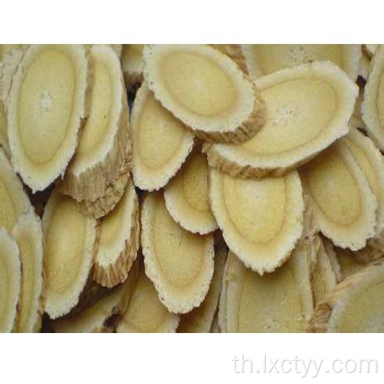 astragalus membranaceus extract ชา