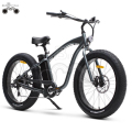 AZIENDA EBIKE ALL&#39;INGROSSO VENDITA CALDA EBIKE 36V 250W FAT TIRE BICI DA SPIAGGIA