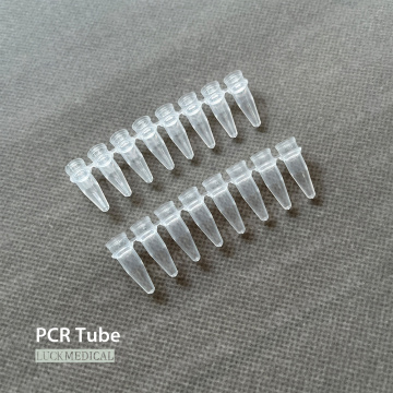 PCR Tube 8-Strip With Attached Caps