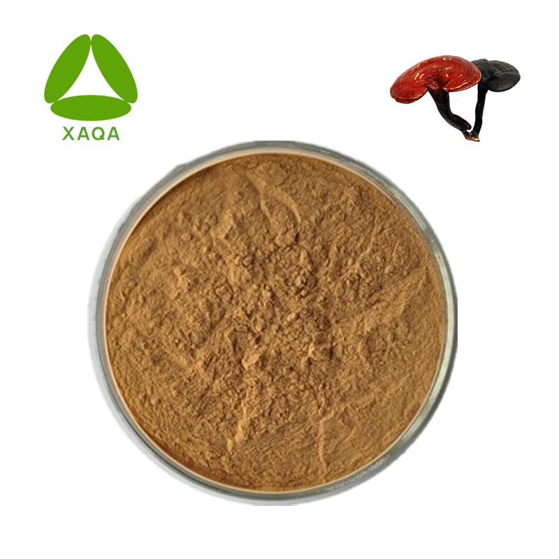 Ganoderma Spore Powder Nutritional Suppléments Prix