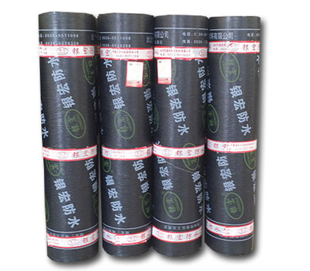 2-06SBS APP modified asphalt waterproof membrane