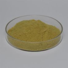 Ferric Sulfate Coagulant for Water Treatment Solutions