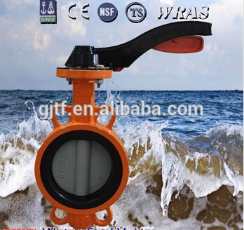 200PSI WCB butterfly valve