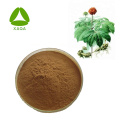 Notoginseng Sanchi Extrakt Notoginsenosid 80% 80418-24-2