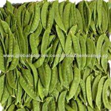Snow Peas, Length of 7-12cm