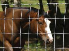 field fence made in China