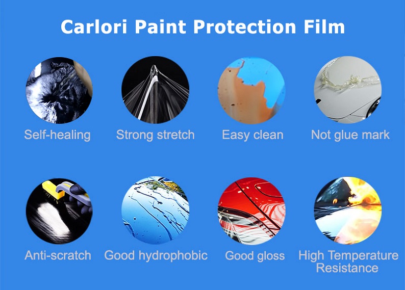 Vehicle Paint Protection Film