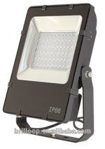 IP66 outdoor asymmetrical floodlight