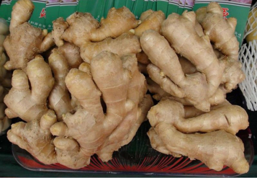 Half Air Dry Ginger