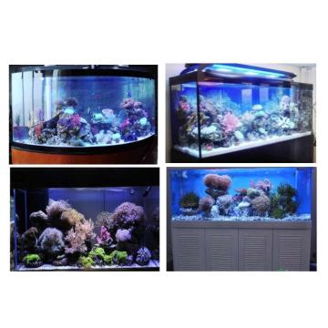Melhor Qualidade Reef Tank 72 &#39;&#39; LED Aquarium Light