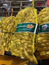 Fresh New Crop Ginger