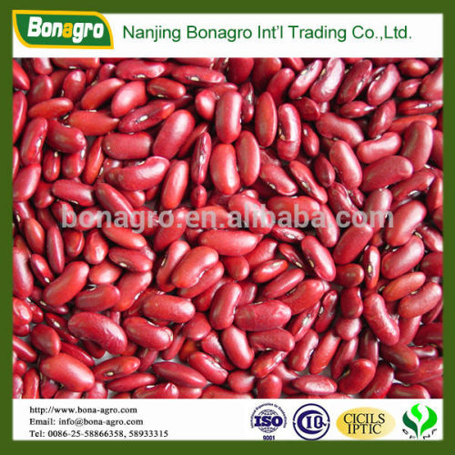 Red kidney bean 2014 new product China supplier