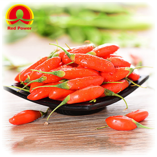 Red Power QIZITO aldi a lexportation noir baie de goji bio goji berries,organic wolfberry goji berrie s dried