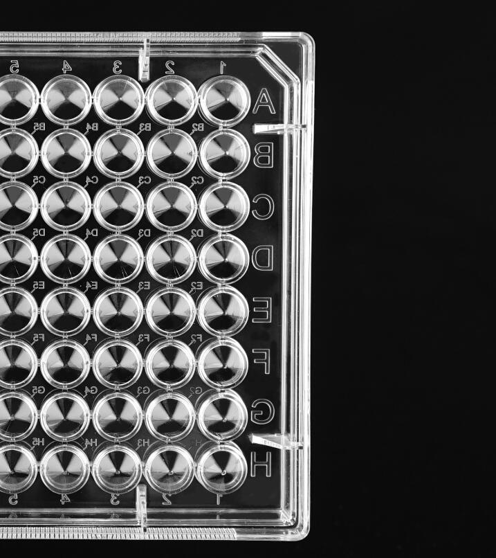 Cell Culture Plate