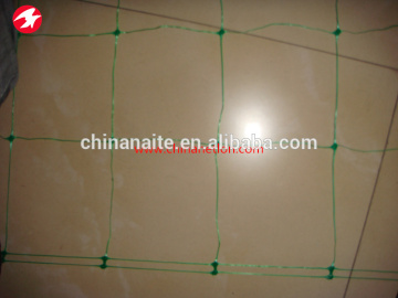 Plastic bean tomato cucumber climbing net