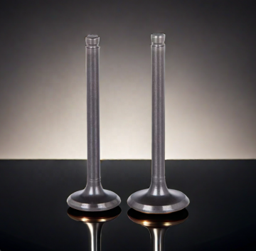 Wholesale Customized Intake Engine Valve Tappets for Hyundai