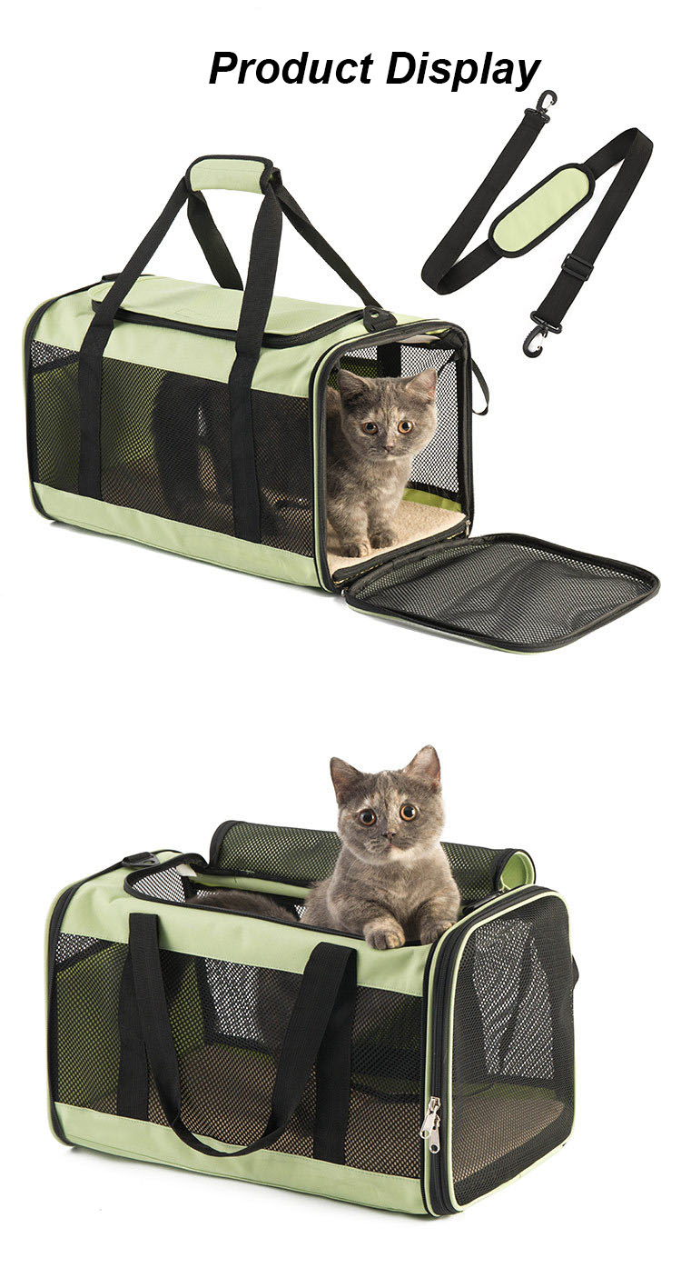 Pet Travel Carrier