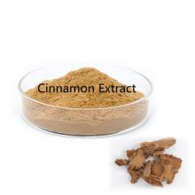 Cinnamon Extract Powder Factory Supply High Quality