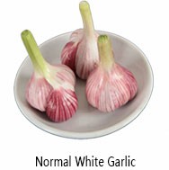 Garlic fresh pure white garlic high quality new crop in mesh bag for wholesale fresh white garlic