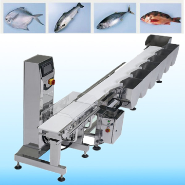 Electronic Check Weigher For Fresh Fish