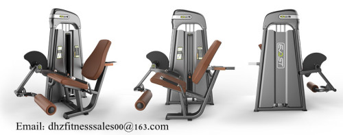 DHZ Prone leg curl Fitness Equipment