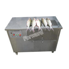 Affordable Fish Cleaning Machine: Efficiently Removes Scales for Salmon and Tilapia Processing