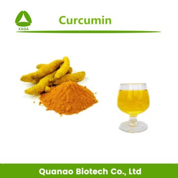 Nano-Kurkuma-Extrakt Curcumin 20% Pulver wasserlöslich