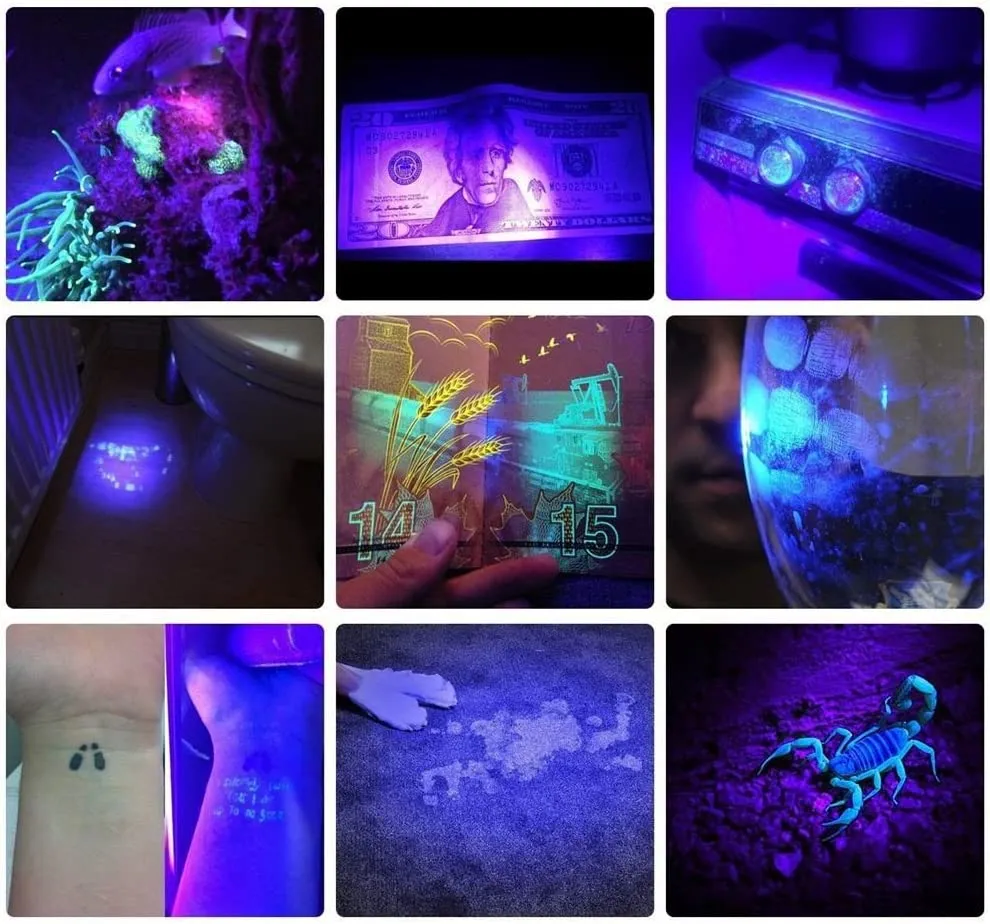 Portable 365nm UV Flashlight with Rechargeable Blacklight and 5 Modes
