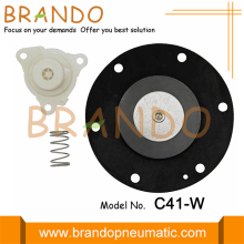 C41 Pulse Valve Diaphragm Replacement