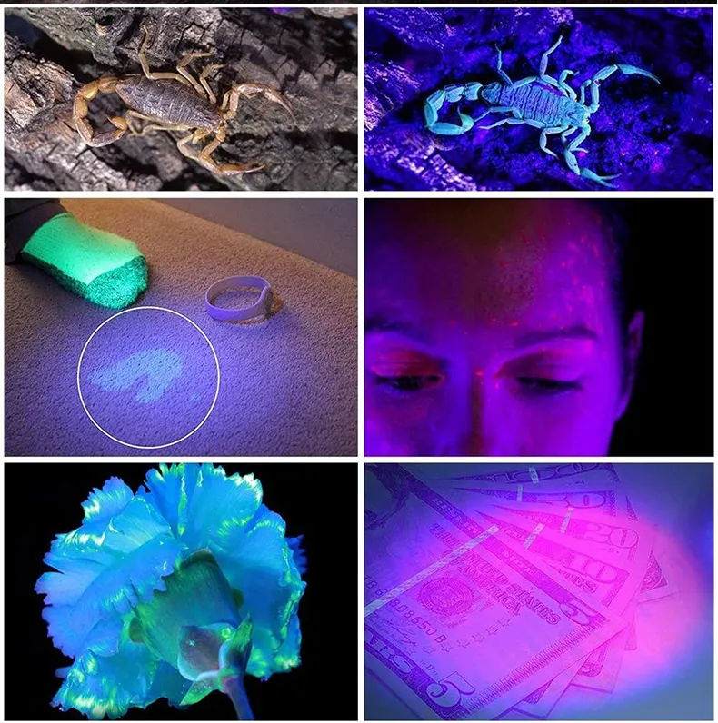 Portable USB UV Flashlight for Detecting Counterfeit Money