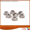 Hexagon Flange Nuts