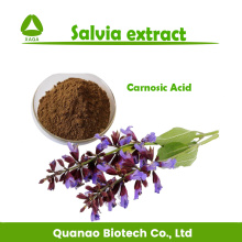 Extrait de sauge clary / Salvia Powder 10: 1 20: 1