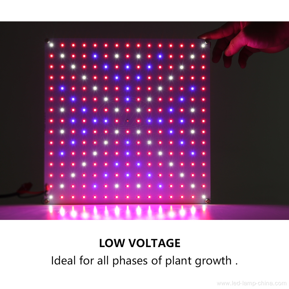 DIY 45w Panel LED Grow Light