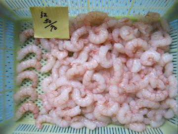 raw material red shrimp