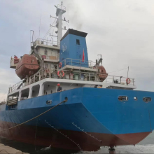 Search Engine for General Cargo Ship Information - Model 5